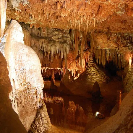 Appartamento Vesna Porec